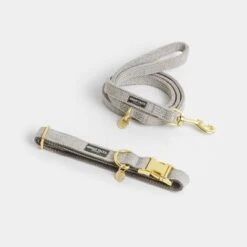 Correa Nomad Tales Calma Piedra Para Perros -Suministros Para Mascotas 326806 326197 nomad tales calma halsband stone 01 7 1