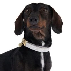 Collar Nomad Tales Calma Piedra Para Perros -Suministros Para Mascotas 326807 calma m fg 7321 6