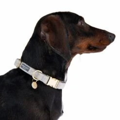 Collar Nomad Tales Calma Piedra Para Perros -Suministros Para Mascotas 326807 calma m fg 7324 6