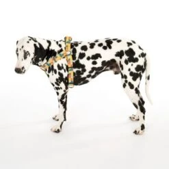 Arnés TIAKI Easy Care Para Perros -Suministros Para Mascotas 332204 easy care geschirr l fg 0477 0