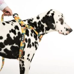 Arnés TIAKI Easy Care Para Perros -Suministros Para Mascotas 332204 easy care geschirr l fg 0490 7