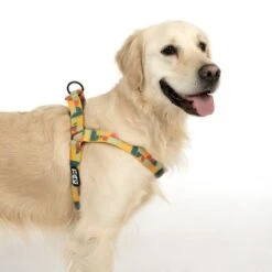 Arnés TIAKI Easy Care Para Perros -Suministros Para Mascotas 332204 easy care geschirr l fg 1749 9