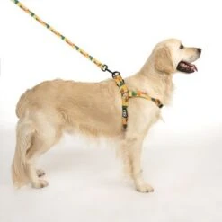 Arnés TIAKI Easy Care Para Perros -Suministros Para Mascotas 332204 easy care geschirr l fg 1755 2