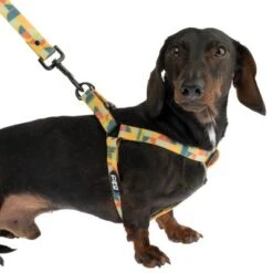 Arnés TIAKI Easy Care Para Perros -Suministros Para Mascotas 332296 easy care geschirr xl fg 1462 9