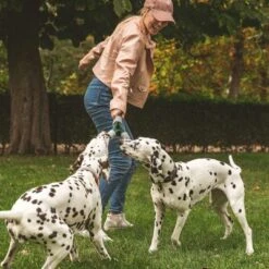 Cuerda Trébol Nomad Tales Spirit Juguete Para Perros -Suministros Para Mascotas 333014 nomad tales spirit spieltau kleeblatt 01 7