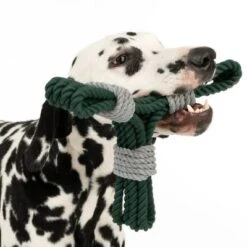 Cuerda Trébol Nomad Tales Spirit Juguete Para Perros -Suministros Para Mascotas 333014 spirit clover rope toy fg 0554 6