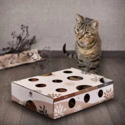 Canadian Cat Company MagicBox Juego De Inteligencia Para Gatos -Suministros Para Mascotas 346599 canadiancat company intelligenzspielzeug magicbox hs 11 0