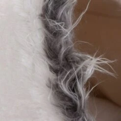 Cueva White Dots Para Mascotas -Suministros Para Mascotas 346777 kuschelhoehle white dots 07 07 2013 9