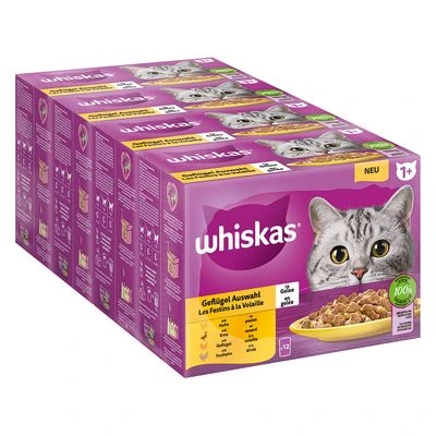 Megapack Whiskas 1+ Años 48 X 85 G En Bolsitas - Imagen 17