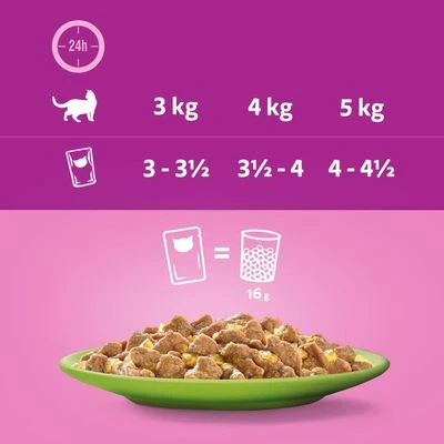 Whiskas 1+ Años 96 X 85 En Bolsitas - Imagen 6