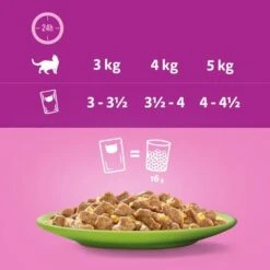 Megapack Whiskas 1+ Años 48 X 85 G En Bolsitas -Suministros Para Mascotas 355702 megapack whiskas 1plus adult frischebeutel gemischte auswahlgelee 48x85g hs 07 8