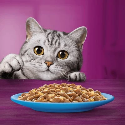 Megapack Whiskas 1+ Años 48 X 85 G En Bolsitas - Imagen 15