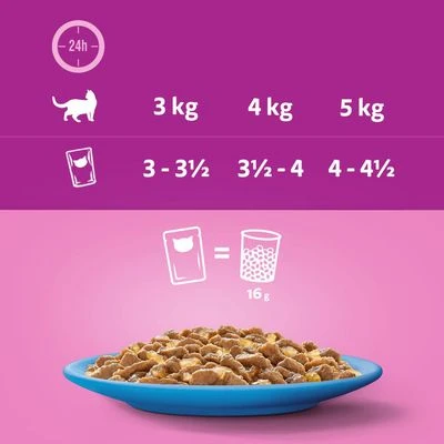 Megapack Whiskas 1+ Años 48 X 85 G En Bolsitas - Imagen 16