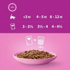 Whiskas Junior 2-12 Meses 96 X 85 G En Bolsitas -Suministros Para Mascotas 355998 megapack whiskas junior frischebeutel klassischeauswahl 48x hs 07 8