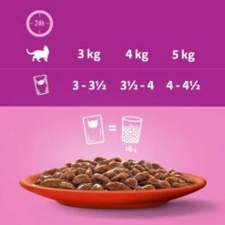 Megapack Whiskas 1+ Años 48 X 85 G En Bolsitas -Suministros Para Mascotas 356097 megapack whiskas 1plus adult frischebeutel auswahlsausee 48x85g hs 10 5