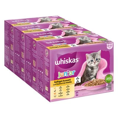 Whiskas Junior 2-12 Meses 96 X 85 G En Bolsitas - Imagen 2