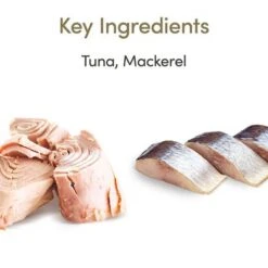 Pack Ahorro: Applaws En Gelatina 32 X 70 G -Suministros Para Mascotas 362008 applaws pouch thunfischmakrele 70g hs 02 2