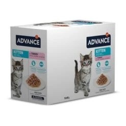 Advance Kitten Con Pavo Comida Húmeda Para Gatos -Suministros Para Mascotas 374596 affinity advance kitten truthahn hs 02 3