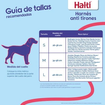 Collar Antitirada HALTI Para Perros - Imagen 8