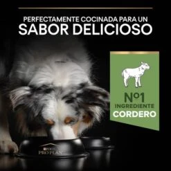 PURINA PRO PLAN Medium Adult Sensitive Digestion Cordero Y Arroz -Suministros Para Mascotas 44142622 es es 221230 1 9