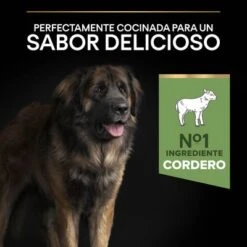 Purina Pro Plan Large Robust Adult Sensitive Digestion Cordero Y Arroz 17 Purina Pro Plan Large Robust Adult Sensitive Digestion Cordero Y Arroz -Suministros Para Mascotas 44142626 es es 221230 1 8