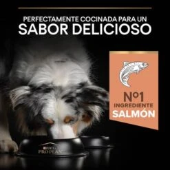 PURINA PRO PLAN Medium Adult Sensitive Skin -Suministros Para Mascotas 44153628 es es 221230 1 1