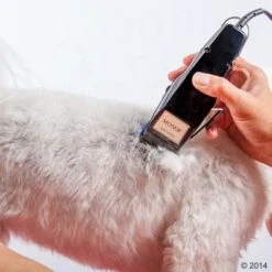 Máquina Cortapelo Moser 1400 24 Máquina Cortapelo Moser 1400 -Suministros Para Mascotas 465374 schermaschine moser 1400 03 3