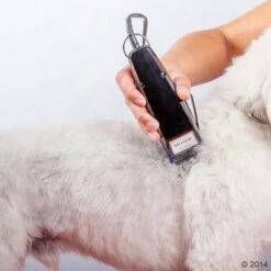 Máquina Cortapelo Moser 1400 23 Máquina Cortapelo Moser 1400 -Suministros Para Mascotas 465374 schermaschine moser 1400 04 2