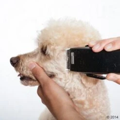 Máquina Cortapelo Moser Rex -Suministros Para Mascotas 465375 schermaschine moser rex 05 2