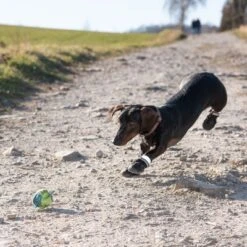 Zapatos Para Perros S & P Boots -Suministros Para Mascotas 52149 hundeschuhe xs fg 0967 9