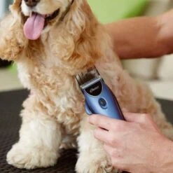 Set Máquina Cortapelo Para Mascotas Oster 220 V -Suministros Para Mascotas 53731 osterheimtierschermaschinen hs 10 1