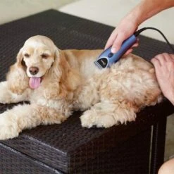 Set Máquina Cortapelo Para Mascotas Oster 220 V -Suministros Para Mascotas 53731 osterheimtierschermaschinen hs 12 3