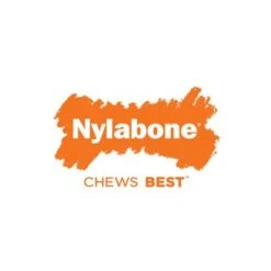 Hueso Nylabone Dura Chew Beef Jerky Con Aroma A Carne -Suministros Para Mascotas 58926 interpet nylabone puppybone hs 04 9