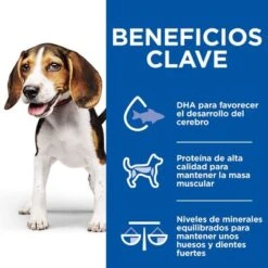 Hill's Science Plan Hill’s Puppy Medium & Large Healthy Cuisine Con Pollo Para Perros 23 Hill's Science Plan Hill’s Puppy Medium & Large Healthy Cuisine Con Pollo Para Perros -Suministros Para Mascotas 606601 9 4