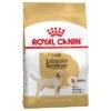 Royal Canin Labrador Retriever Adult -Suministros Para Mascotas 61151 pla royalcanin adulthund labradorretriever 0