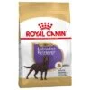 Royal Canin Sterilised Labrador Retriever Adult -Suministros Para Mascotas 61153 pla royalcanin adulthund labradotsterilised 6