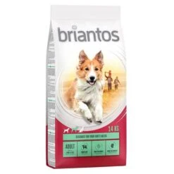Briantos Pienso Para Perros - Pack Ahorro -Suministros Para Mascotas 66220 pla briantos adult lamm reis 14 kg hs 02 0