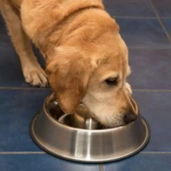 Comedero Antivoracidad De Acero Para Perros -Suministros Para Mascotas 66349 antischlingnapf fg 1011 1