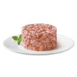 Megapack Gourmet Gold Tartelette 48 X 85 G -Suministros Para Mascotas 69003 purina gourmet gold raffiniertes ragout mit thunfisch 7