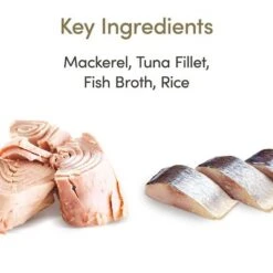 Applaws Latas En Caldo Para Gatos 12 X 70 G -Suministros Para Mascotas 70770 applaws bruhe meeresfisch 70g hs 03 4