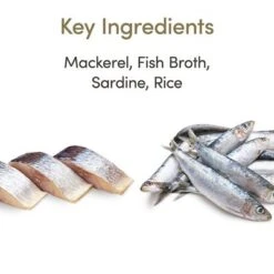 Applaws Latas En Caldo Para Gatos 12 X 70 G -Suministros Para Mascotas 70838 applaws bruhe makrele sardine 70g hs 03 4