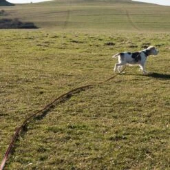 Correa De Rastreo Heim Engomada Para Perros -Suministros Para Mascotas 71830 supergrip outside fg 3556 0