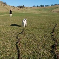 Correa De Rastreo Heim Engomada Para Perros -Suministros Para Mascotas 71830 supergrip outside fg 3561 5