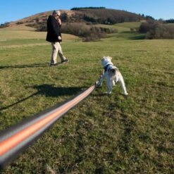 Correa De Rastreo Heim Engomada Para Perros -Suministros Para Mascotas 71830 supergrip outside fg 3614 9