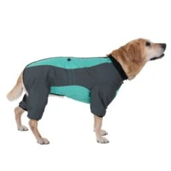 Abrigo Largo Overall II Para Perros -Suministros Para Mascotas 73483 hundeoverall mint fg 1000px 2923 4