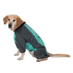 Abrigo Largo Overall II Para Perros -Suministros Para Mascotas 73483 hundeoverall mint fg 1000px 2931 2