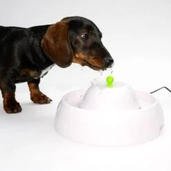 Bebedero Fuente Neptuno -Suministros Para Mascotas 80407 trinkbrunnen trevi fg nachschlag 3283 6