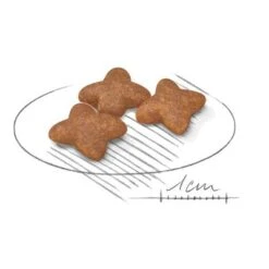 Royal Canin Mini Adult 10 Royal Canin Mini Adult -Suministros Para Mascotas 80735 royalcanin miniadult 8kg croc hs 02 9