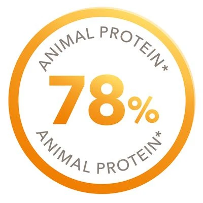IAMS For Vitality Senior & Mature Large Con Pollo Fresco 6 IAMS For Vitality Senior & Mature Large Con Pollo Fresco - Imagen 4