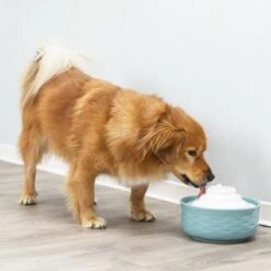 Bebedero Fuente Trixie Vital Falls De Cerámica -Suministros Para Mascotas 98396 trixie trinkbrunnen vital falls keramik hs 09 2